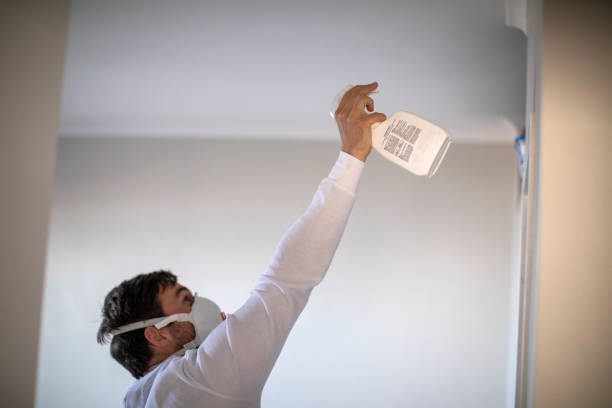 Best Mold Removal Near Me  in Shelbyvle, IL