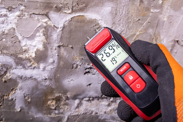 Best Mold Testing  in Shelbyvle, IL