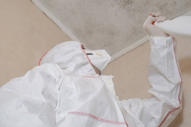 Best Toxic Mold Removal  in Shelbyvle, IL